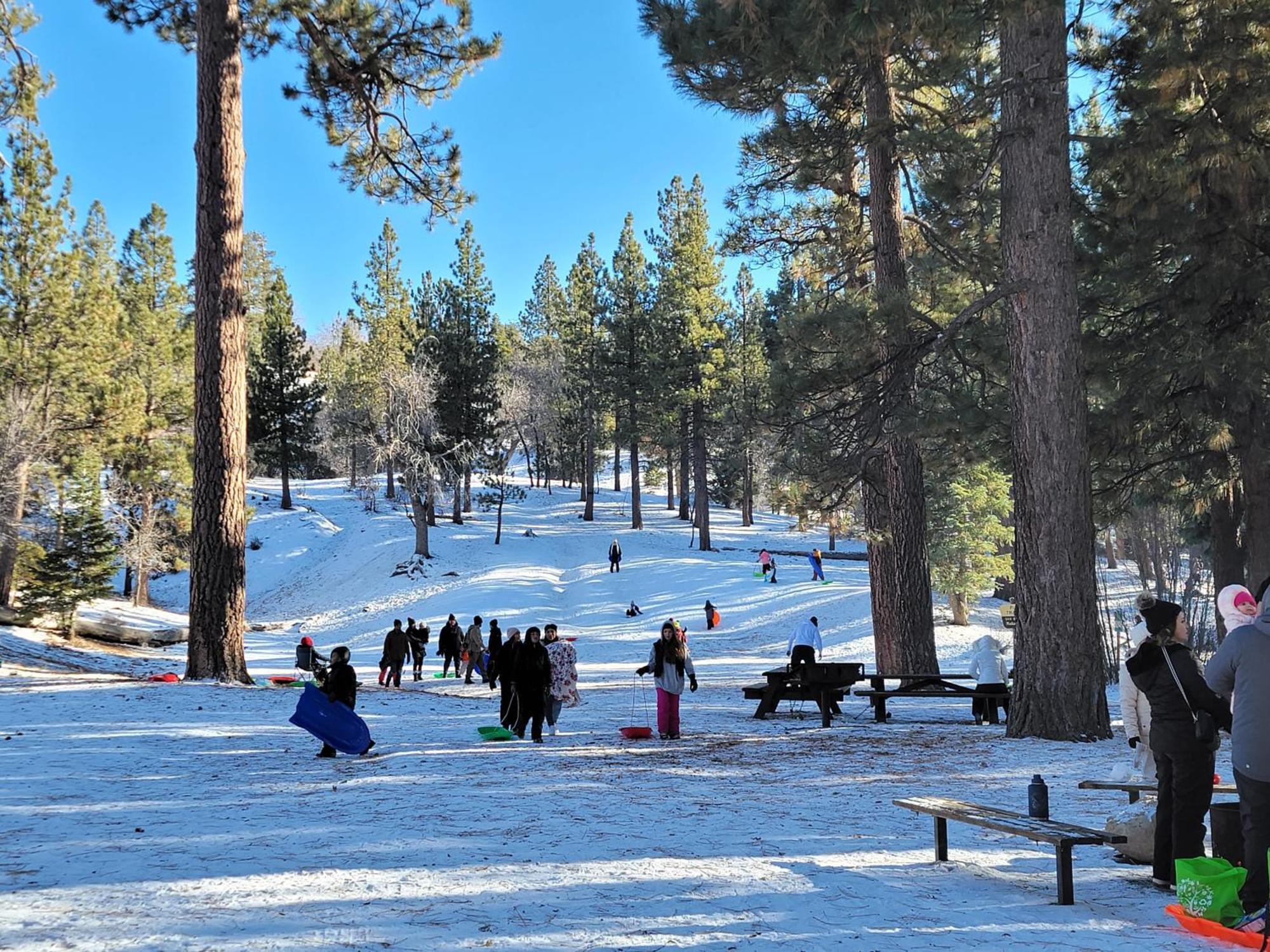 Four Seasons Getaway-Private Hot Spa With Pine Tree Views-Walk To Village And Pineknot Trailhead-Plus King Bed! Big Bear Lake Eksteriør billede